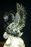 Swans - IceSculptingTools.com