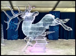 2016 Ottawa ice carving 2.JPG