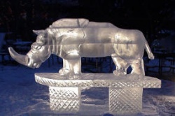 rhino frosty.jpg