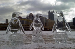 penguin photo opportunity.JPG