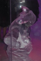 fox in plexi.JPG