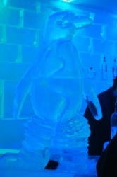 penguin pizz luge.JPG