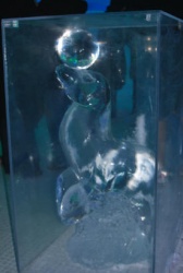 seal with ball in plexi.JPG