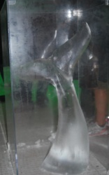whale tail in plexi.JPG