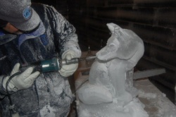 artic fox.JPG
