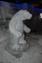 ice bear 7.jpg