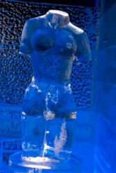 torso.jpg