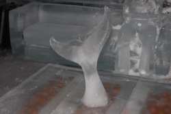 whale tail.JPG