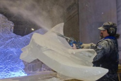 Hamburg Ice Carving 11.JPG