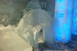 Hamburg Ice Carving 34.JPG