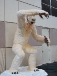 SSC_0153.JPG