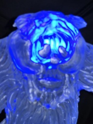 wampa head 3.JPG