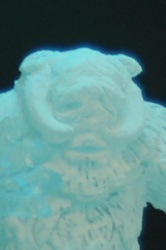 wampa head.JPG