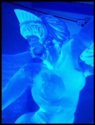 mermaid 1.JPG