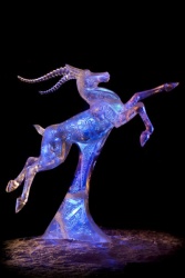 22029065.jpg