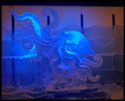 Octopus.JPG