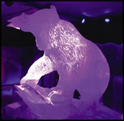 ny fair ice carvings 2015 b.jpg