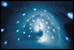 Ice Hotel 2015 6.jpg