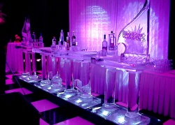 BAR 16' WITH LUGES & 20 BOTTLE HOLDERS.JPG