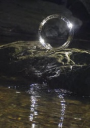 ring and reflection.jpg