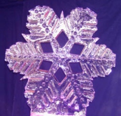 Snowflake large.jpg