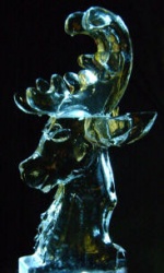 stag head.JPG