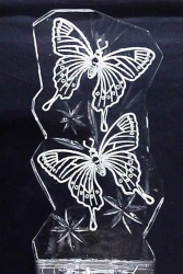 butterfly_no_color.JPG