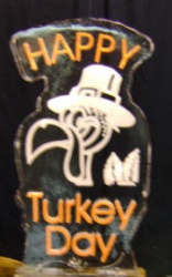 goofy turkey.JPG