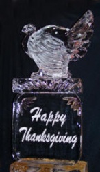 Turkey on happy thanksgiving sign.jpg