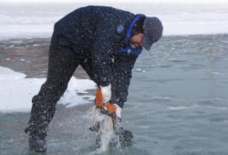 natural ice harvest 3.JPG