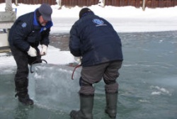 natural ice harvest 5.JPG