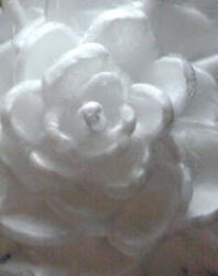 rose 3d inside ice backround.JPG
