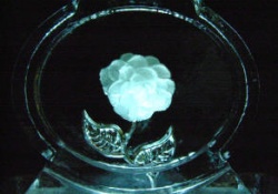 Waterford vase with 3d rose inside close up.JPG