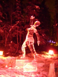 DSC02154.JPG