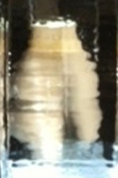 z fragile ice carving 2.JPG