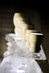 z fragile ice carving 13.JPG