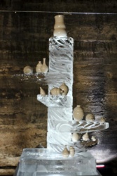 z fragile ice carving 15.JPG