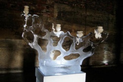 z fragile ice carving 28.JPG