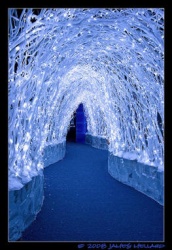 harbin ice 26.jpg