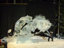 DSC02112.JPG
