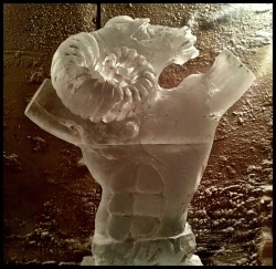 IMG_4112.JPG