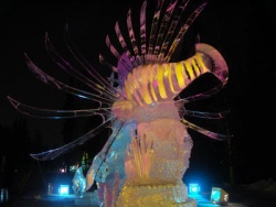 PICT0055.JPG