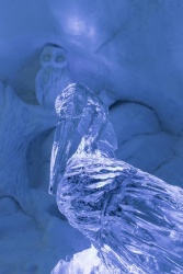 ALPENIGLU_2017 (1).jpg