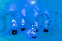 ALPENIGLU_2017 (5).jpg