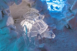ALPENIGLU_2017 (6).jpg