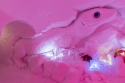 ALPENIGLU_2017 (11).jpg