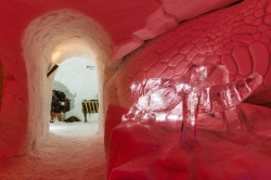 ALPENIGLU_2017 (12).jpg