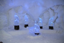 ALPENIGLU_2017 (15).jpg