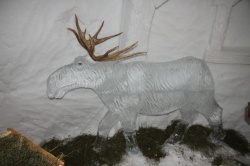 ALPENIGLU_2017 (18).jpg