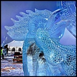summer sunrise rooster ice carving 10.jpg